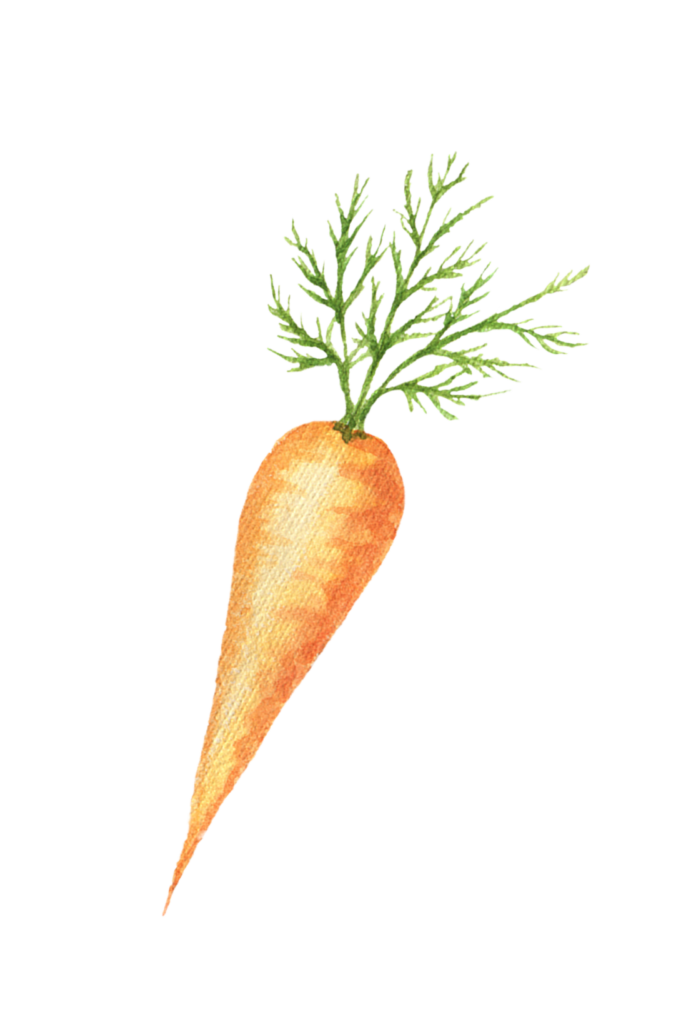 carotte par Cuisine Vivante